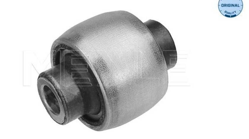 Lagar, fixare ax exterior (3003332103 MEYLE) BMW,BMW (BRILLIANCE)