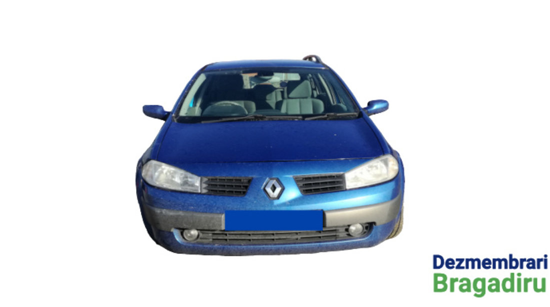 Lampa iluminat fata usa spate stanga Renault Megane 2 [facelift] [2006 -  2012] wagon 1.5 dCi MT (106 hp) #84152983