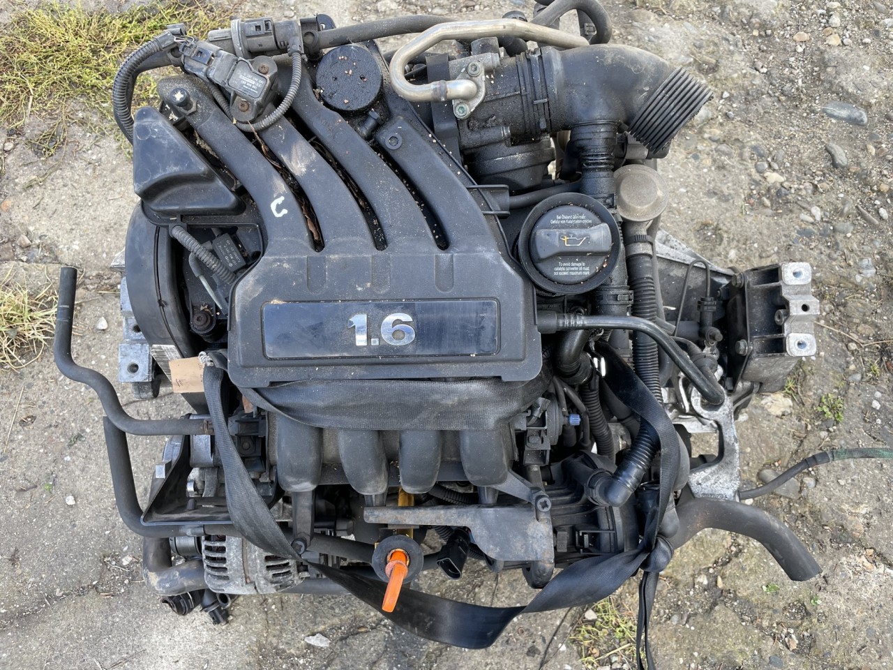 Motor Volkswagen Golf 5 1.6 Benzina Cod BGU #78496836