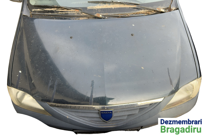 Ornament exterior parbriz dreapta Dacia Logan [2004 - 2008] Sedan 1.4 MT (75 hp) Cod motor: K7J-A7