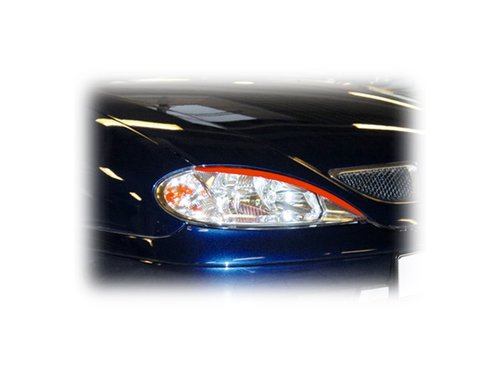 ORNAMENT FAR (PLEOAPE) RENAULT MEGANE-COD FKSWB2147