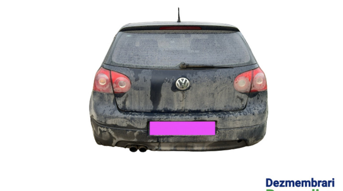 Panou / Fusta spate Volkswagen VW Golf 5 [2003 - 2009] Hatchback 3-usi 1.4 MT (75 hp) Cod motor: BCA