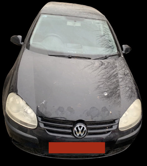 Perie exterior geam spate stanga Volkswagen VW Golf 5 [2003 - 2009] Hatchback 5-usi 1.6 FSI Tiptroni...