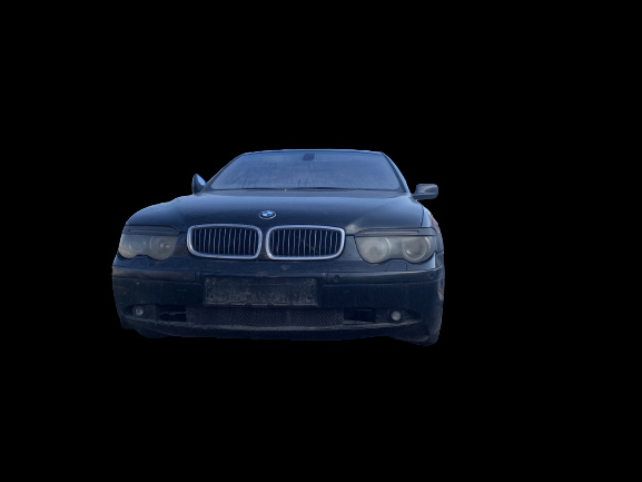 Perie exterior geam usa spate dreapta BMW Seria 7 E65/E66 [2001 - 2005] Sedan 4-usi 730d AT (218 hp) 306D2