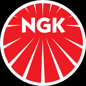 Piesa Auto Ngk 6665NGK