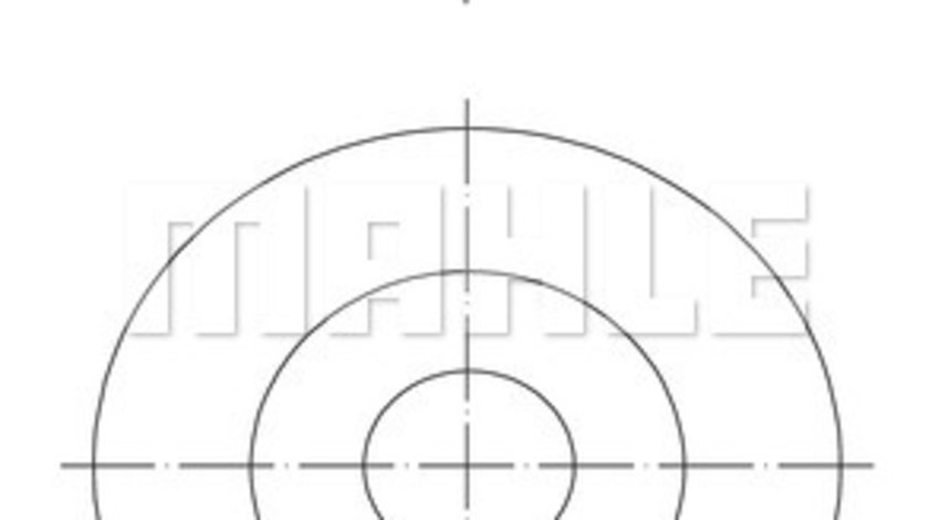 Piston (0160700 MAH) Citroen,FIAT,FORD,JAGUAR,PEUGEOT