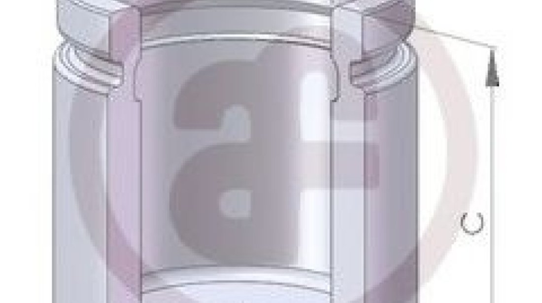 Piston, etrier frana AUDI A4 Avant (8E5, B6) (2001 - 2004) AUTOFREN SEINSA D02559 piesa NOUA