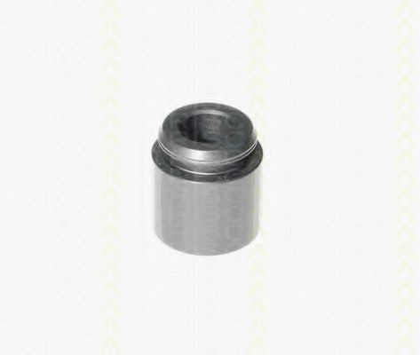 Piston, etrier frana BMW Seria 1 (E81) (2006 - 2012) TRISCAN 8170 232803 piesa NOUA