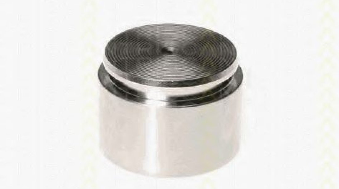 Piston, etrier frana BMW Seria 2 Cupe (F22, F87) (2013 - 2016) TRISCAN 8170 234420 piesa NOUA