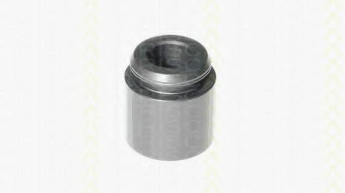 Piston, etrier frana BMW Seria 3 Cabriolet (E93) (2006 - 2013) TRISCAN 8170 232803 piesa NOUA