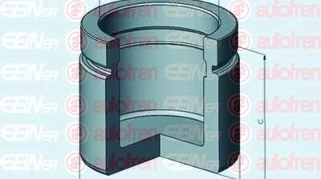 Piston, etrier frana FORD COURIER (JV) (1998 - 2016) AUTOFREN SEINSA D025487 piesa NOUA