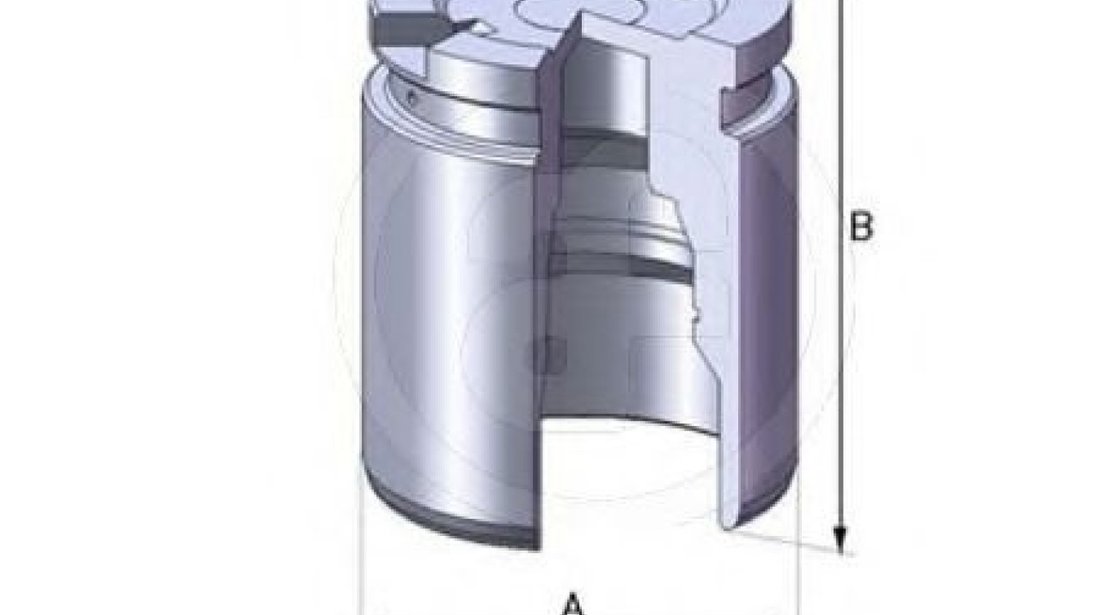 Piston, etrier frana FORD MONDEO IV (BA7) (2007 - 2016) AUTOFREN SEINSA D02519 piesa NOUA