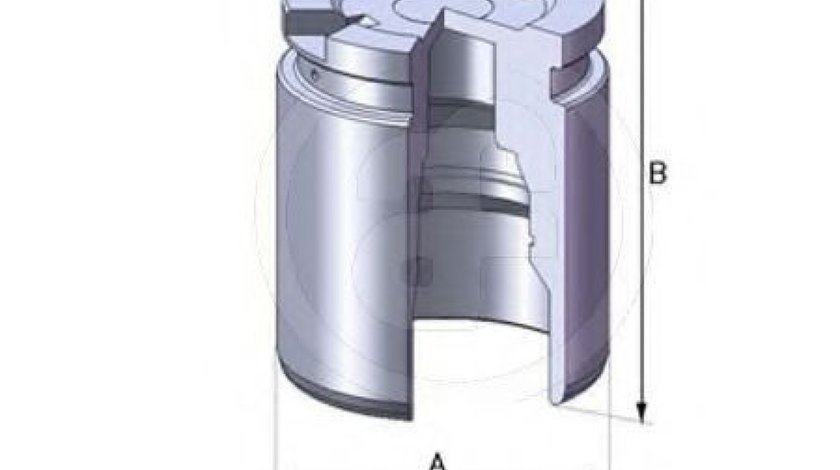 Piston, etrier frana MITSUBISHI CARISMA limuzina (DA) (1996 - 2006) AUTOFREN SEINSA D02519 piesa NOUA