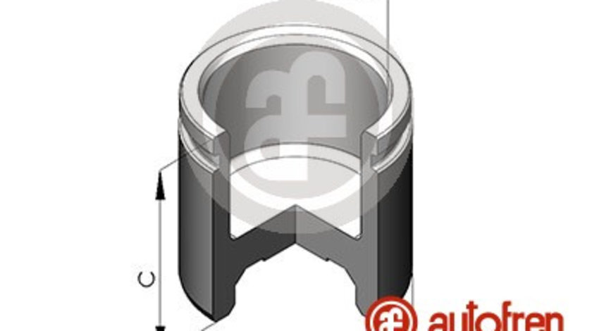 Piston, etrier frana punte fata (D025133 AUT) SEAT,VW