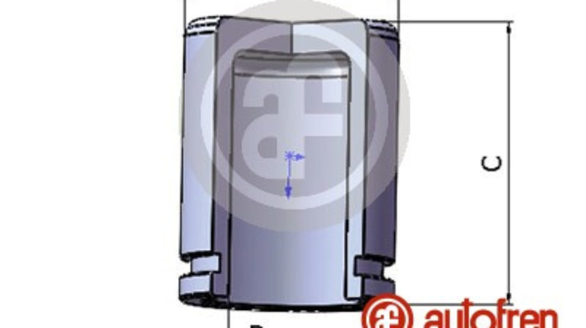 Piston, etrier frana punte fata (D025279 AUT) AUDI,FORD,LEXUS,MAZDA,MITSUBISHI,NISSAN,SUBARU,TOYOTA