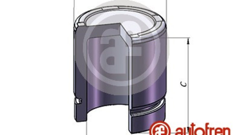 Piston, etrier frana punte fata (D025301 AUT) Citroen,PEUGEOT