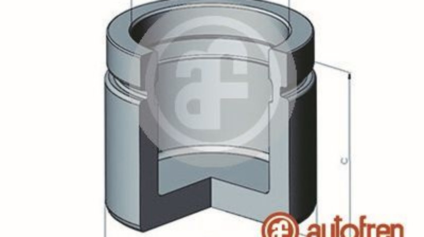 Piston, etrier frana punte fata (D02542 AUT) BMW,MASERATI