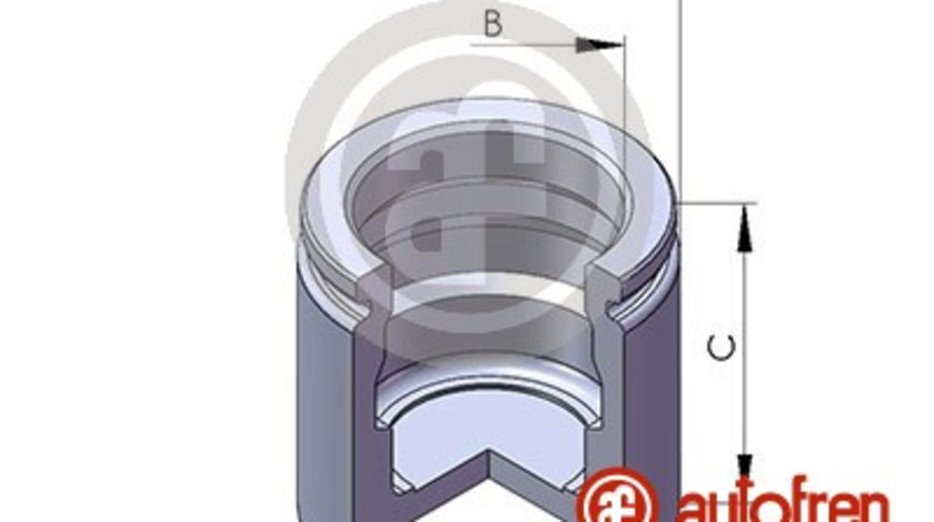 Piston, etrier frana punte fata (D02544 AUT) CHEVROLET,Citroen,DAEWOO,FSO,JAGUAR,OPEL,PEUGEOT,VAUXHALL