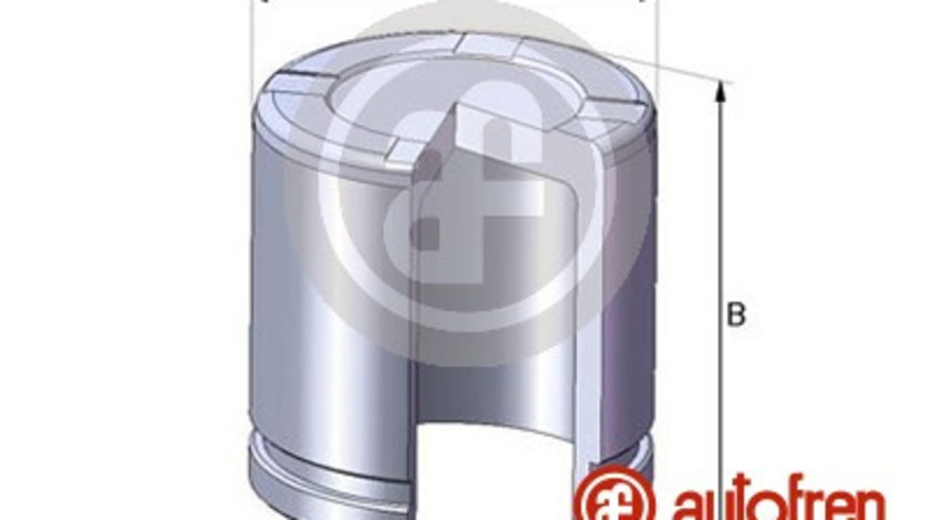 Piston, etrier frana punte fata (D02550 AUT) Citroen,FIAT,FORD,NISSAN,PEUGEOT,RENAULT