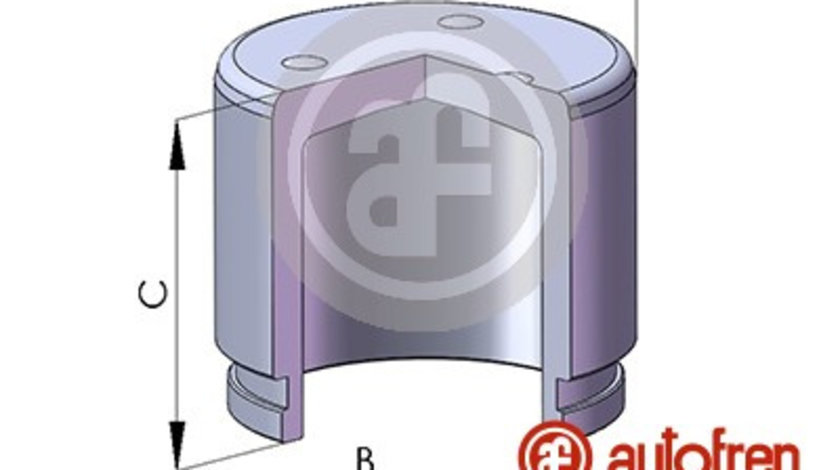 Piston, etrier frana punte fata (D02553 AUT) CHEVROLET,DAEWOO,DAIHATSU,HYUNDAI,MAZDA,NISSAN,SUBARU,SUZUKI,VOLVO