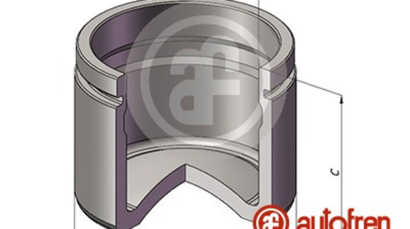 Piston, etrier frana punte fata (D025559 AUT) ALFA ROMEO,AUDI,BMW,Citroen,FORD,FSO,JAGUAR,LAND ROVER,OPEL,PEUGEOT,RENAULT,SAAB,VOLVO,VW