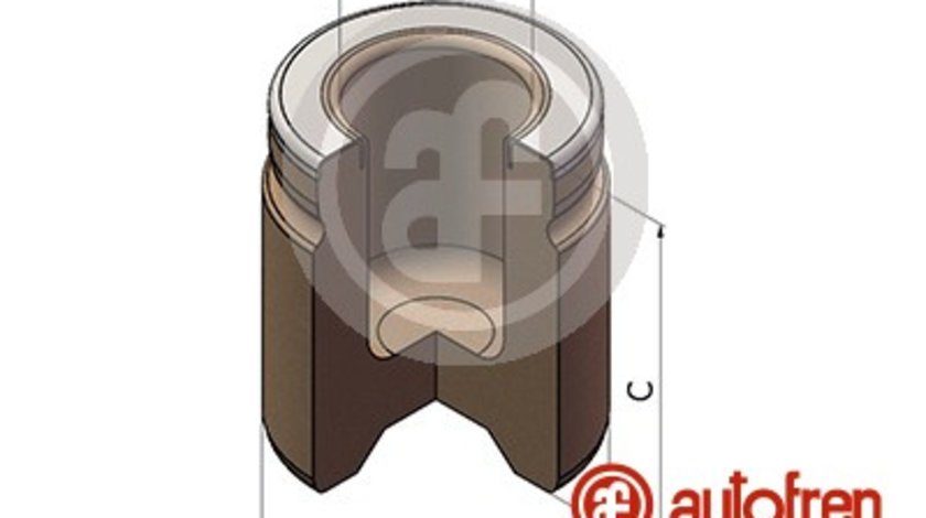 Piston, etrier frana punte fata (D025592 AUT) CHRYSLER,LANCIA