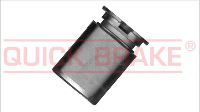 Piston, etrier frana puntea spate (185032 QBK) ALFA ROMEO,AUDI,CHRYSLER,Citroen,FIAT,FORD,JAGUAR,LANCIA,PEUGEOT,SEAT,SKODA,VW