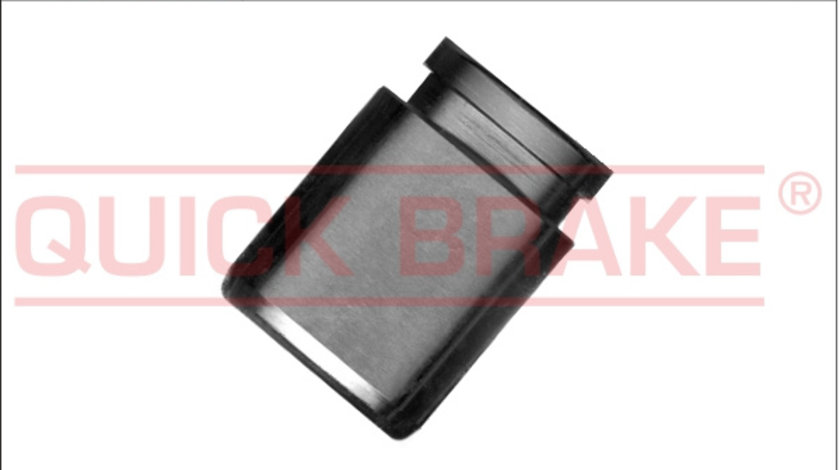 Piston, etrier frana puntea spate (185042 QBK) CHRYSLER,Citroen,DODGE,JEEP,LANCIA,MITSUBISHI,NISSAN,PEUGEOT,SUBARU,TOYOTA