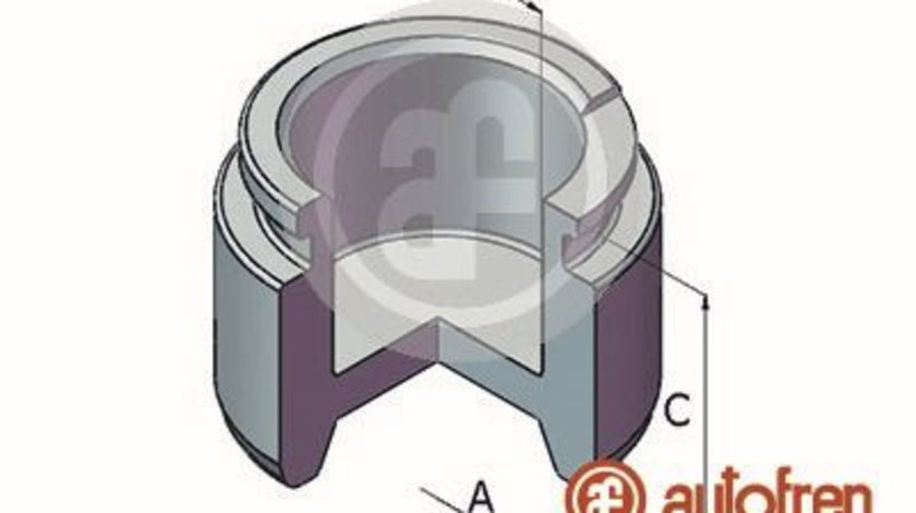 Piston, etrier frana puntea spate (D025318 AUT) CHRYSLER,Citroen,MERCEDES-BENZ