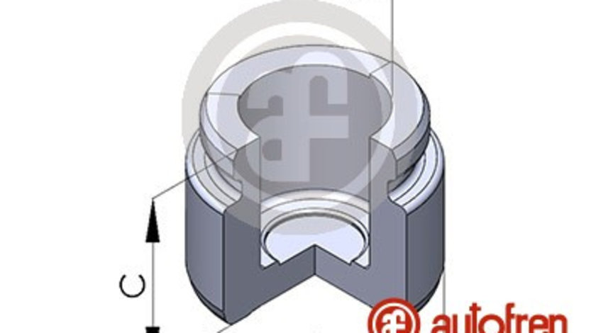 Piston, etrier frana puntea spate (D02536 AUT) MERCEDES-BENZ,OPEL