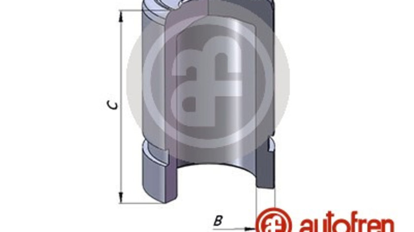 Piston, etrier frana puntea spate (D025384 AUT) DAF,MITSUBISHI,VOLVO