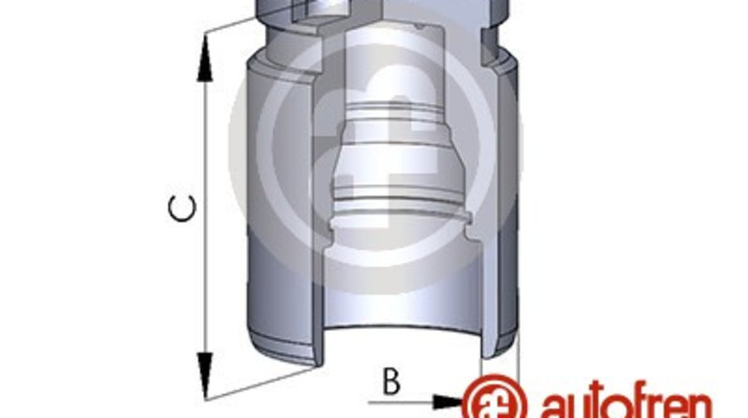 Piston, etrier frana puntea spate (D025417 AUT) CHEVROLET,FORD,OPEL,PEUGEOT,VAUXHALL