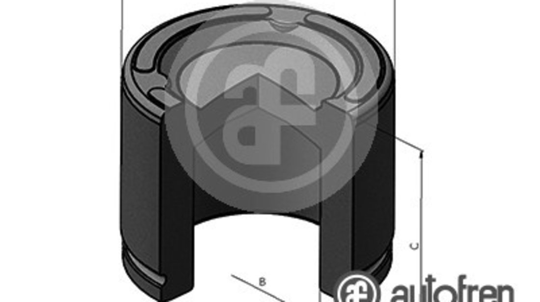 Piston, etrier frana puntea spate (D025461 AUTOFREN) DODGE,JEEP