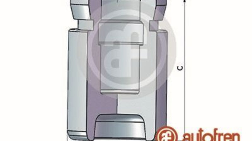 Piston, etrier frana puntea spate (D025517 AUTOFREN) BMW