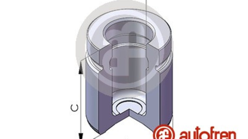 Piston, etrier frana puntea spate (D025518 AUT) BMW,Citroen,FIAT,JAGUAR,LANCIA,MG,PEUGEOT,ROVER,TOYOTA