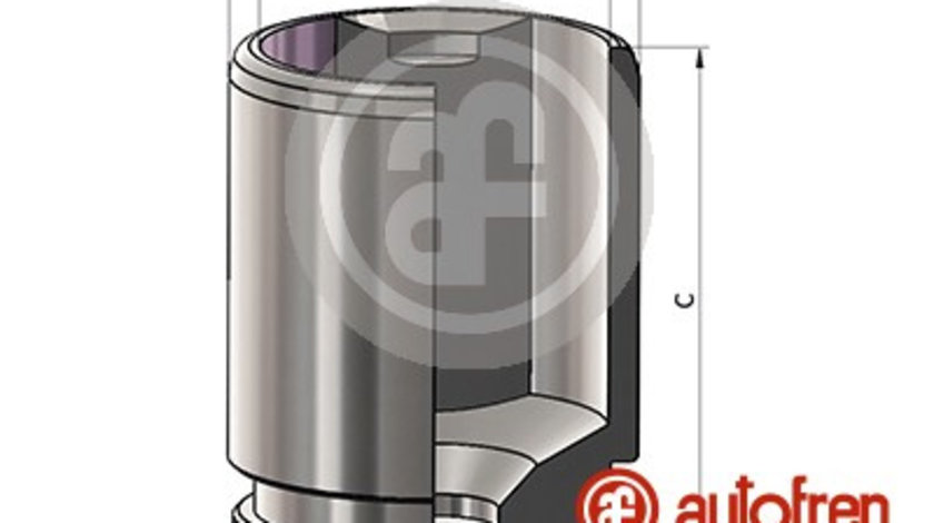 Piston, etrier frana puntea spate (D025602 AUT) Citroen,LAND ROVER,MAZDA,MERCEDES-BENZ,NISSAN,OPEL,RENAULT,VAUXHALL