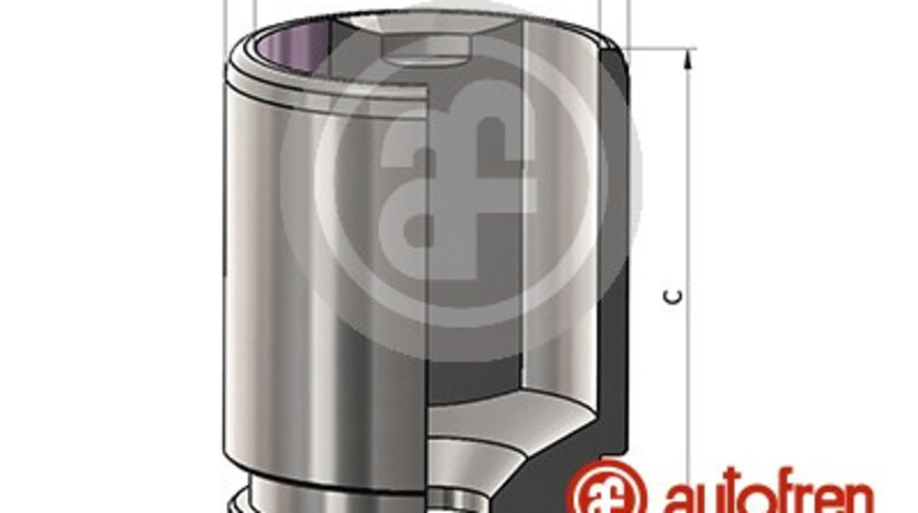 Piston, etrier frana puntea spate (D025620 AUT) HONDA,LAND ROVER,MERCEDES-BENZ,NISSAN,RENAULT