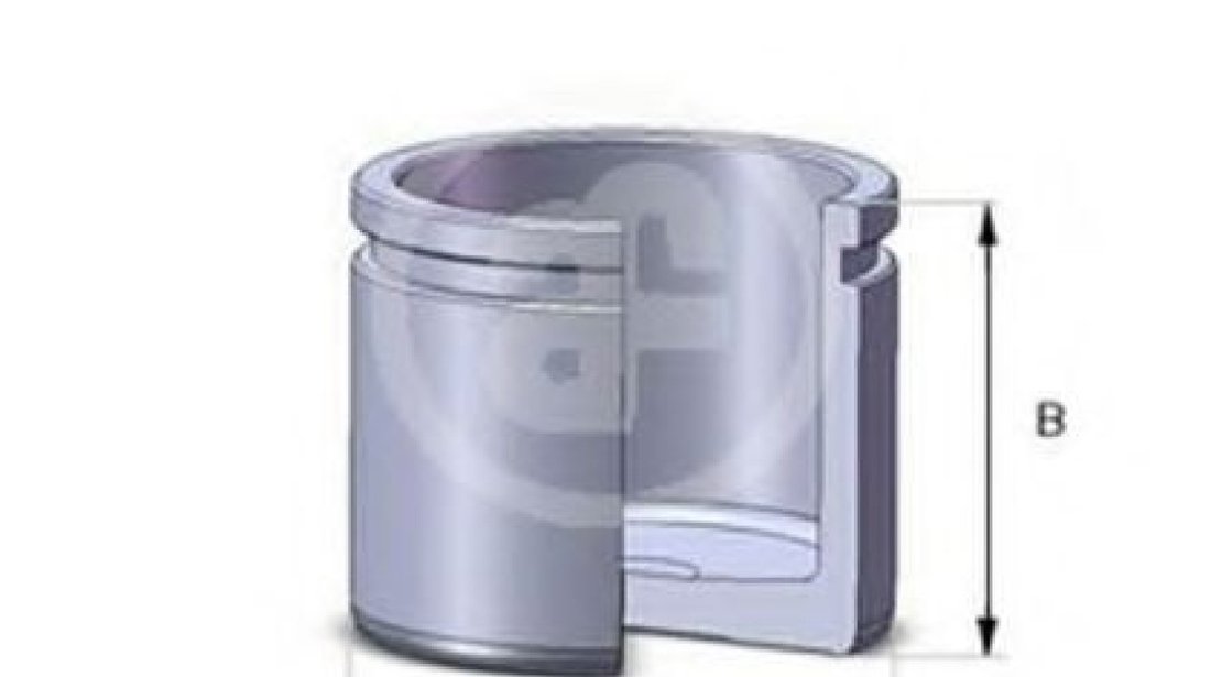 Piston, etrier frana VW TRANSPORTER IV platou / sasiu (70XD) (1990 - 2003) AUTOFREN SEINSA D02532 piesa NOUA