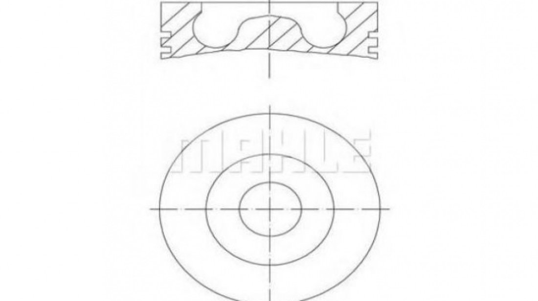 Piston Ford TRANSIT platou / sasiu 2006-2016 #3 0160700