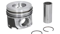 Piston Nural Audi A4, A6, A8 ,Q7 , VW Phateon, VW ...