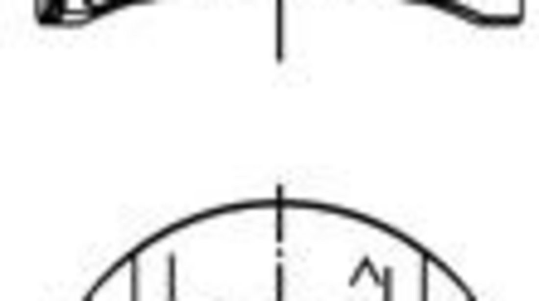 Piston RENAULT MEGANE II Grandtour (KM0/1) (2003 - 2012) KOLBENSCHMIDT 40262620 piesa NOUA