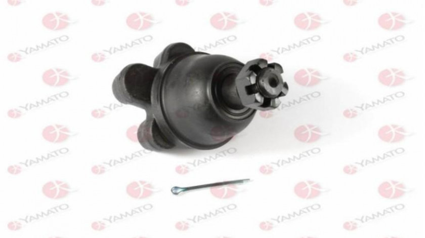 Pivot Mitsubishi L 300 bus (P0_W, P1_W, P2_W) 1986-2016 #4 183000055572