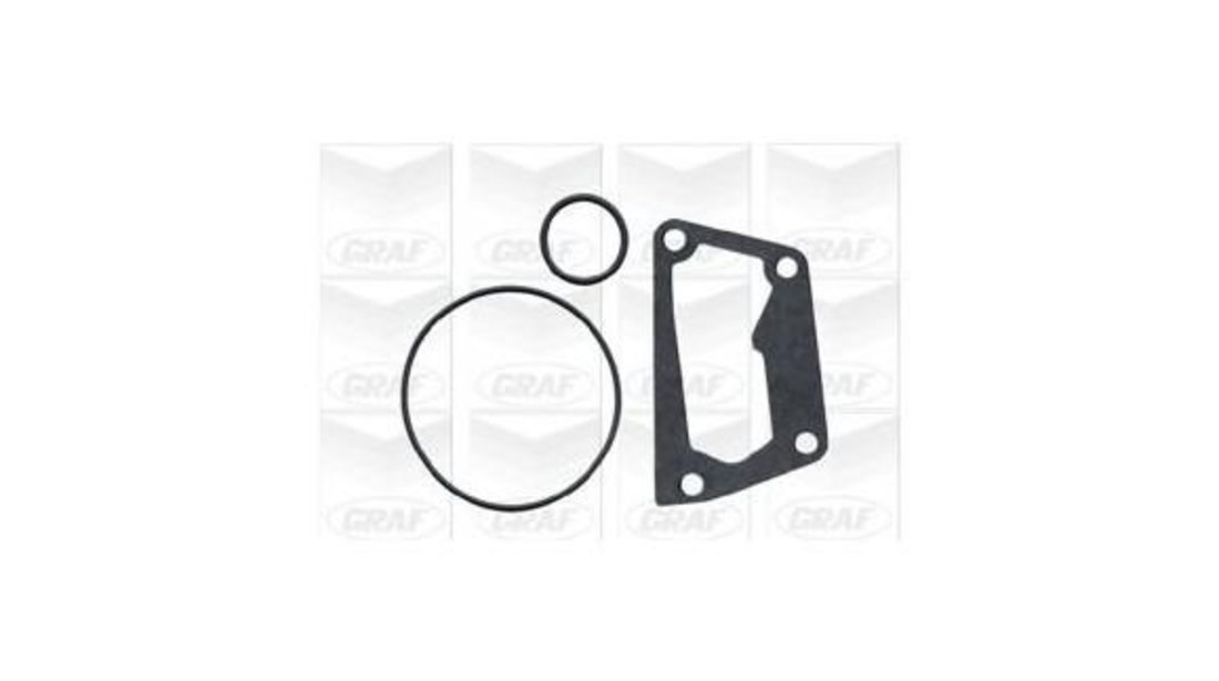 Pompa apa motor Fiat DOBLO (223, 119) 2001-2016 #2 10620