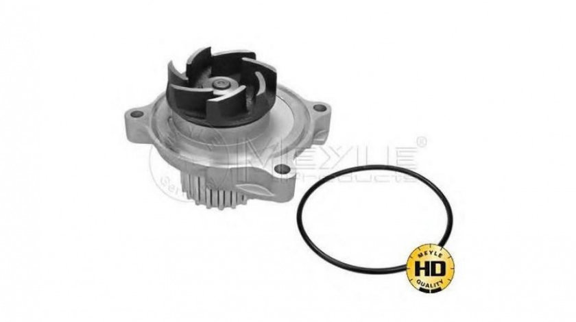 Pompa apa motor Volkswagen VW LT 40-55 I platou / sasiu (293-909) 1975-1996 #2 074121005M