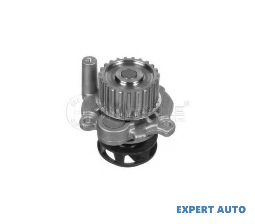 Pompa apa motor Volkswagen VW SHARAN (7M8, 7M9, 7M6) 1995-2010 #2 06A121011C