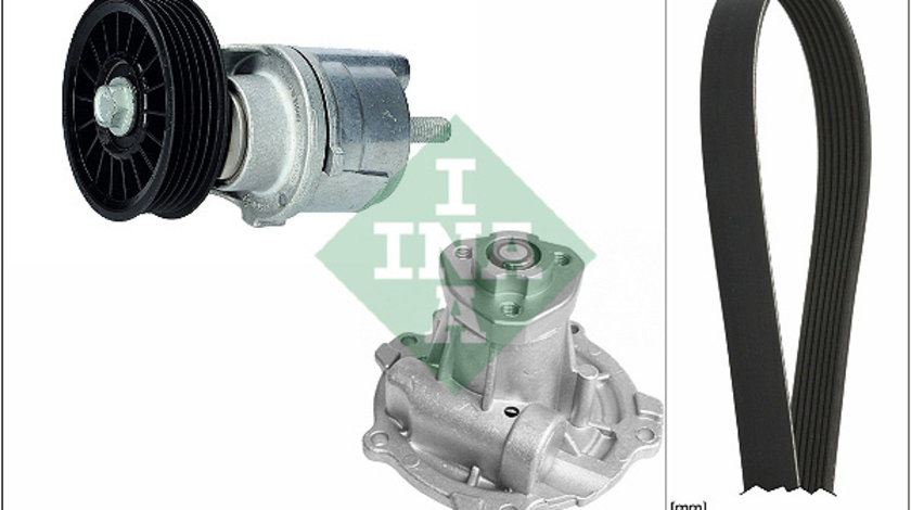 Pompa apa + Set curea transmisie cu caneluri (529016131 INA) AUDI,VW