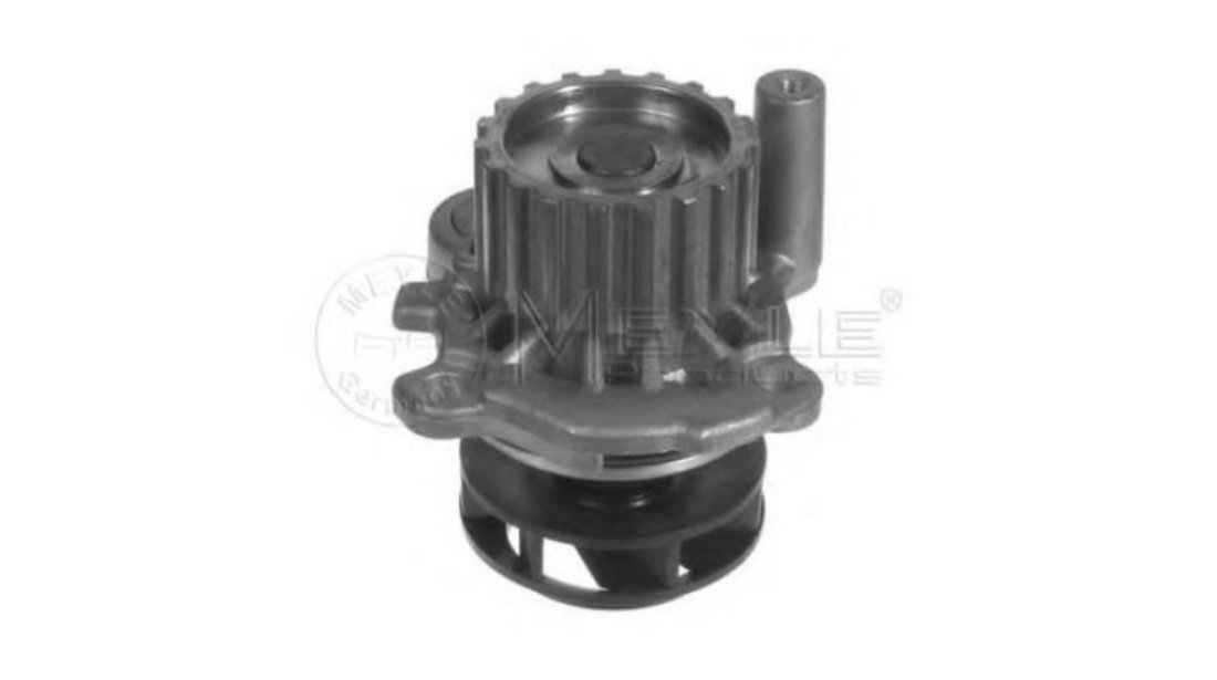 Pompa apa Volkswagen VW NEW BEETLE (9C1, 1C1) 1998-2010 #2 038121011