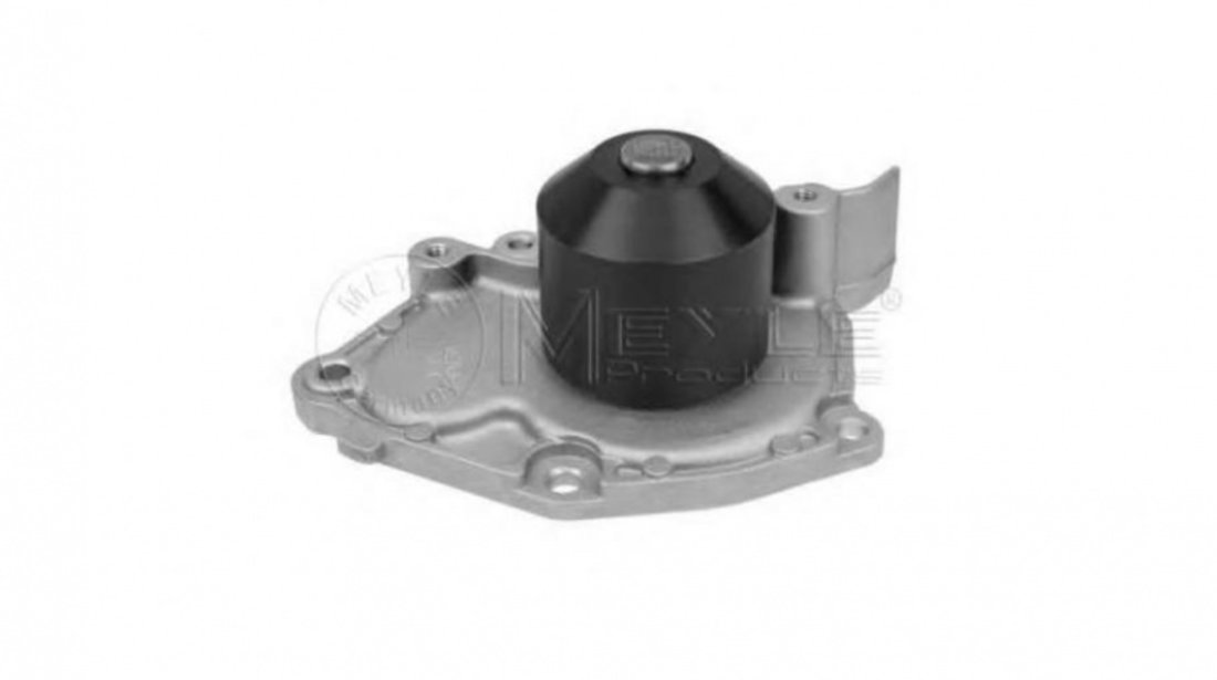 Pompa de apa Renault LAGUNA cupe (DT0/1) 2008-2016 #2 10822