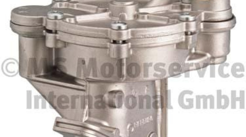 Pompa vacuum,sistem de franare (722300690 PIE) VW