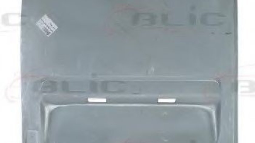 Portiera spate MERCEDES SPRINTER 3-t caroserie (903) (1995 - 2006) BLIC 6016-00-3546155P piesa NOUA